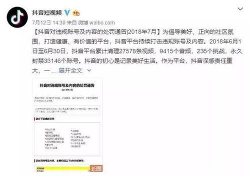 无底线爆料视频大全最新,视频大全背后的惊人真相